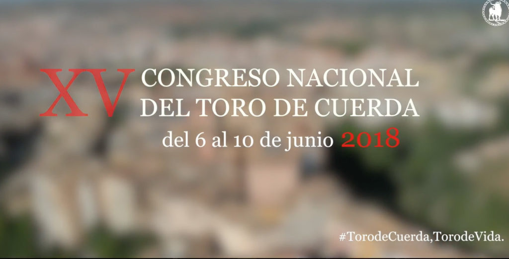 XV Congreso Nacional de Toro de Cuerda. Cuenca
